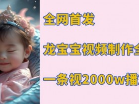 龙宝宝视频制作教程：全网首发，单条视频2000w播放秘籍-54创业网