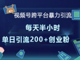 视频号暴力引流秘籍：半小时日引200+精准创业粉，跨平台轻松涨粉-54创业网