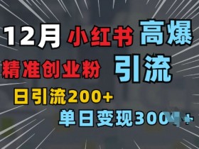 单日加200+精准创业粉！小红书一张图引爆付费意识创业粉【揭秘】-54创业网