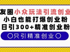 小众创业粉引流秘籍：朋友圈日引300+精准粉，新手也能轻松爆粉-54创业网