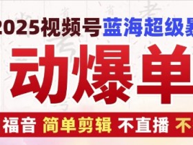 2025视频号赚钱秘籍：不直播不挂车，小白轻松剪辑爆单术1.0-54创业网