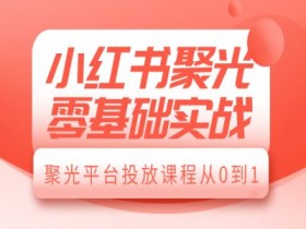 小红书聚光投放教程：零基础速成，从0到1玩转聚光平台-54创业网