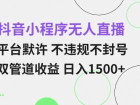 抖音小程序无人直播揭秘：平台默许双管道收益，不违规不封号，小白日入多张轻松操作-54创业网