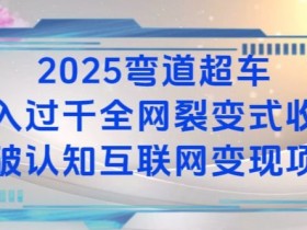 2025弯道超车：日入过K的互联网变现项目，全网裂变式收益揭秘-54创业网