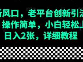 流量新风口：老平台创新引流玩法，小白轻松日入200+，详细教程-54创业网