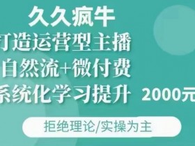 12月23更新：自然流+微付费打造运营型主播，久久疯牛包11月+12月-54创业网