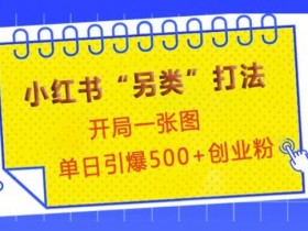 小红书创业引流秘籍：1张图单日爆粉500+，精准变现玩法大公开-54创业网