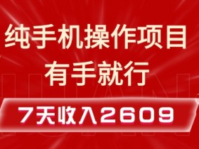 手机赚钱：7天赚2609+的纯手机小项目，有手就能做【实操教程】-54创业网