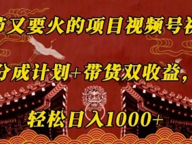 春节视频号赚钱攻略：祝福分成+带货双收益，轻松日入几张-54创业网