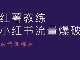 小红书运营课：红薯教练带你从0到1玩转小红书内容运营-54创业网