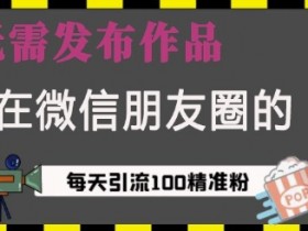 微信引流秘籍：单日加100+精准创业粉，不发作品也能爆粉【朋友圈流量密码】-54创业网