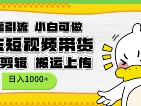 京东短视频带货日赚1k：无需引流零剪辑搬运上传 小白轻松上手-54创业网