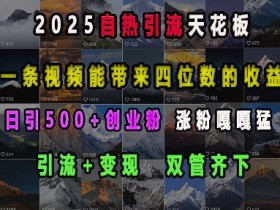 2025自热引流天花板：日引500+创业粉，一条视频赚4位数，引流变现双管齐下-54创业网