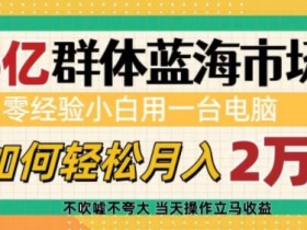 零经验小白如何用电脑月入过万？6亿蓝海市场赚钱秘籍大揭秘-54创业网