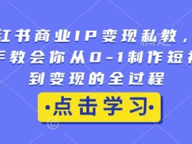 小红书商业IP变现私教：0-1短视频制作到赚钱全流程教学-54创业网