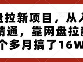 3个月靠网盘拉新赚16W：从入门到精通的网盘拉新项目实战攻略-54创业网