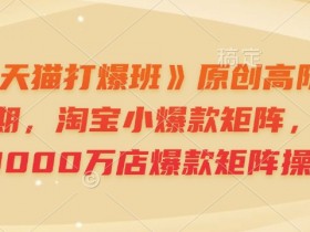 淘宝小爆款矩阵技术：年销8000万爆款实操，天猫高阶运营第64期-54创业网