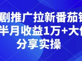 短剧推广拉新：番茄锚点半月赚1万+，大佬手把手教你实操-54创业网