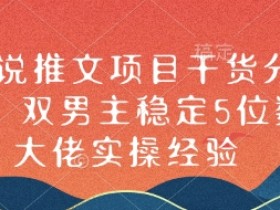 双男主小说推文赚钱干货：5位数大佬实操经验分享-54创业网