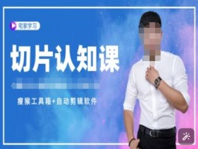 直播切片教程：切片认知课+资料包+授权，手把手教你高效剪辑-54创业网