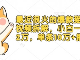 爆款猫咪做饭视频教程：小白7天涨粉2万，单条10万+播放保姆级拆解-54创业网