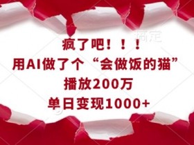 AI做饭猫爆火：200万播放日赚1k，手把手教你做同款！-54创业网