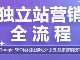 独立站营销全流程：Google SEO优化+社媒引流独家技巧-54创业网