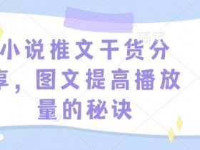 小说推文爆款秘诀：3招图文技巧快速提升播放量-54创业网