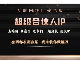 超级合伙人IP揭秘：互联网项目天花板，不做韭菜做镰刀-54创业网