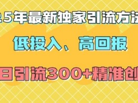 2025年低投入高回报：独家引流方法当日精准创业粉300+-54创业网
