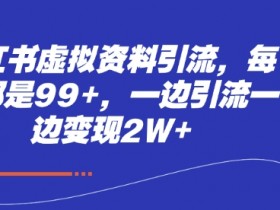 小红书虚拟资料引流秘籍：日引99+精准粉，轻松变现2W+-54创业网