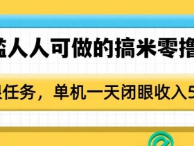 零撸项目0门槛：单机日赚50+，无限任务人人可做，闭眼搞米教程-54创业网