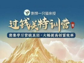 剽悍一只猫营销真经：过钱关特训营3倍速提升创富效率-54创业网