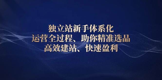 独立站新手运营指南：精准选品+高效建站+快速盈利全流程-54创业网