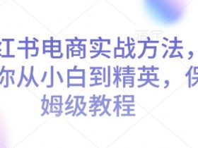 小红书电商运营：0基础小白到精英的保姆级实战教程-54创业网