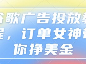 谷歌广告投放教程：订单女神3步教你轻松赚美金-54创业网
