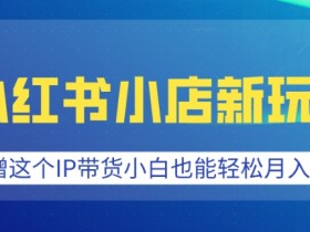 小红书小店IP带货秘籍：小白轻松月入过W的爆单玩法-54创业网