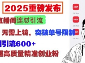 2025小红书直播连怼引流新玩法：免连麦不上镜，单号日引600+流量-54创业网