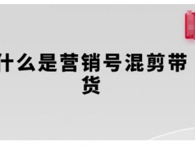 营销号混剪带货教程：从0到1玩转短视频带货变现全流程-54创业网