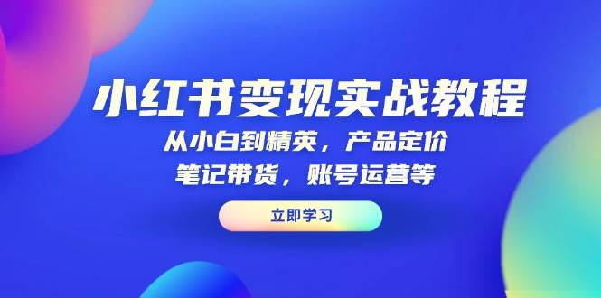小红书赚钱攻略：产品定价+笔记带货+账号运营实战教程-54创业网