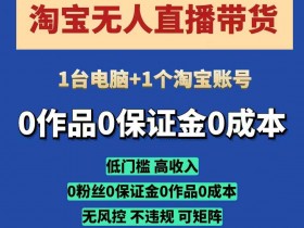 淘宝无人直播带货项目：一台电脑自动赚钱，0门槛高收入，开播即变现-54创业网