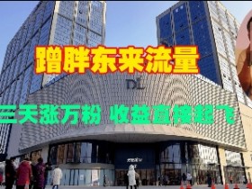 胖东来爆火秘籍：3天涨粉1万+，收益翻倍蹭流量玩法-54创业网