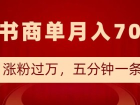 小红书商单变现攻略：半个月涨粉破万，5分钟1条笔记轻松月入7000+-54创业网