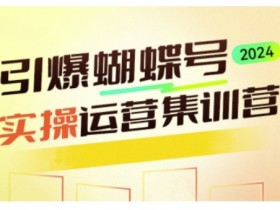 蝴蝶号运营实操指南：深度掌握高效变现技巧，开启流量变现之路-54创业网