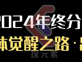 2024个体觉醒之路：个人事业行动营年终成长分享-54创业网