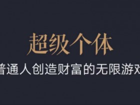 2024-2025超级个体翻盘指南：普通人财富自由的无限游戏攻略-54创业网