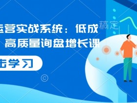 国际站运营实战：低成本获客技巧，高质量询盘增长系统课-54创业网