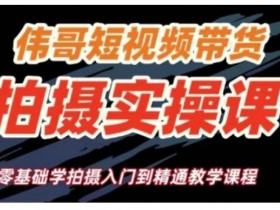 零基础短视频带货拍摄教学：从入门到精通实操课-54创业网