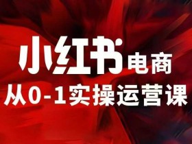 97节小红书VIP内部课：电商运营赚钱秘籍，0基础也能月入过万-54创业网