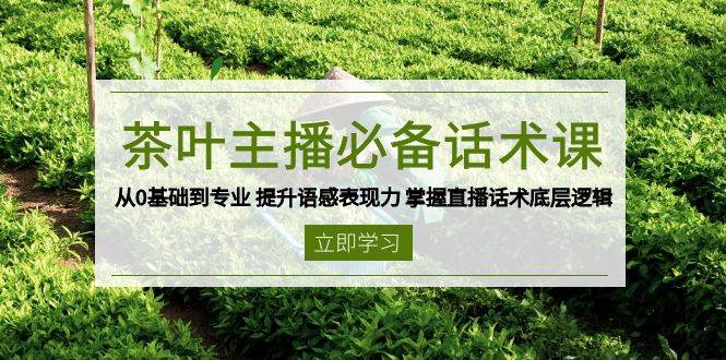 茶叶直播话术课：0基础速成专业主播，轻松提升语感表现力与带货技巧-54创业网